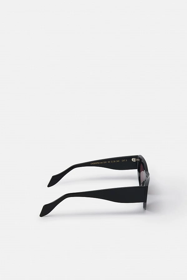 Gafas de sol cat-eye en acetato con logo lateral – Pinko